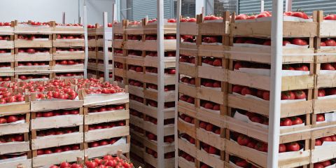 Airperishablegoodsnew