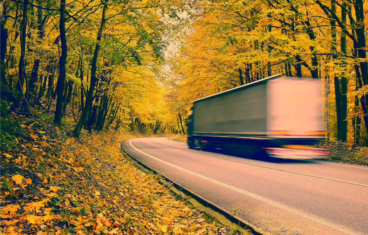 Shipping and Logistics in Autumn
